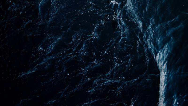 2020 年新款勞力士手表首次亮相（并可供銷售）9 月 1 日-復刻表