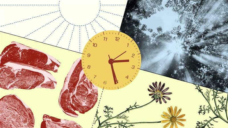 夏令時(shí)是一種快樂(lè)和祝福-復(fù)刻表