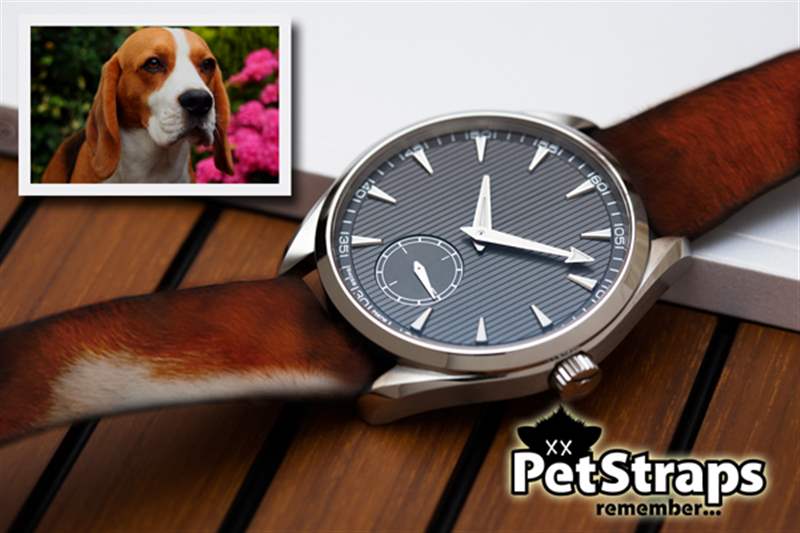PetStraps:寵物伴侶的愛存在于……您的手腕上-復刻表