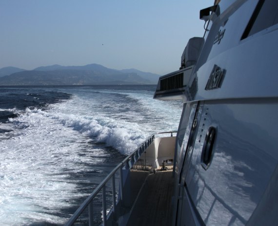 愛彼皇家橡樹近海潛水腕表-復刻表