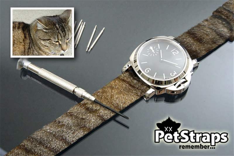 PetStraps:寵物伴侶的愛存在于……您的手腕上-復刻表